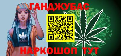 мдпв Новозыбков