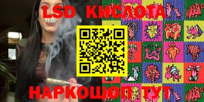 мдпв Новозыбков