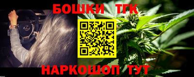 мдпв Новозыбков