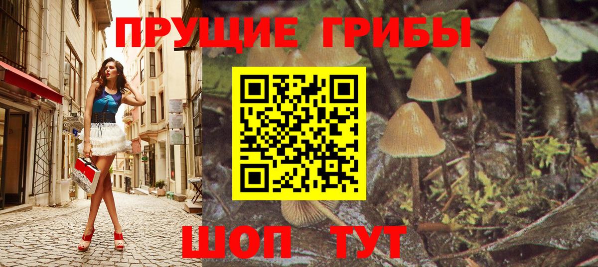 Галлюциногенные грибы GOLDEN TEACHER Советский