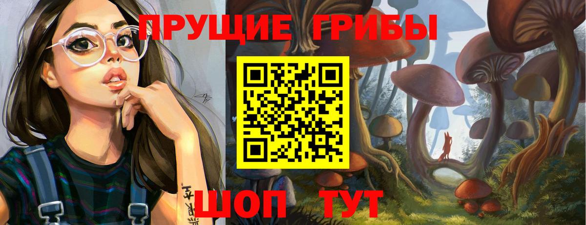 Советский  Псилоцибиновые грибы Cubensis  Вход с VPN 